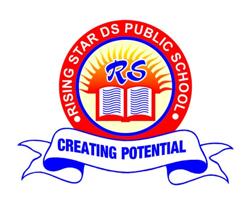 RISING STAR DS PUBLIC SCHOOL